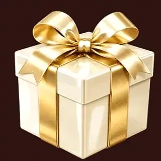 Wrapped gift box — Slota